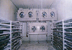 保鮮冷庫(kù)工程客戶江西宏達(dá)綠色食品公司